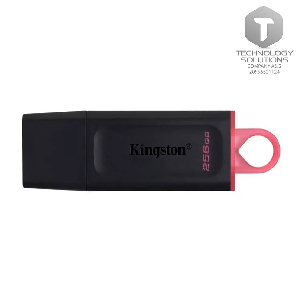 Memoria USB Kingston DataTraveler