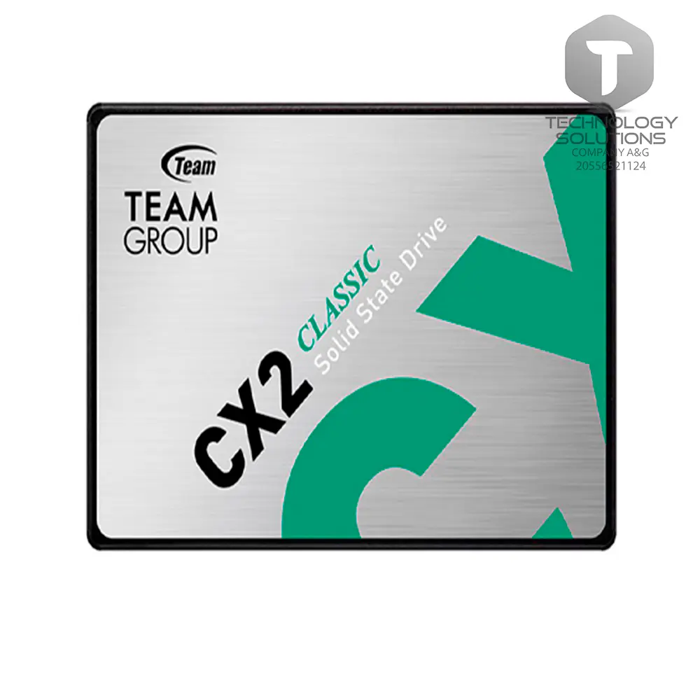 Teamgroup CX2 256GB